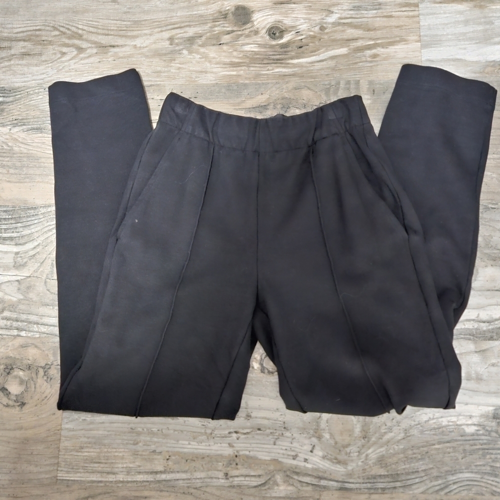 Everlane Ho Chi Minh Pants Size Xs